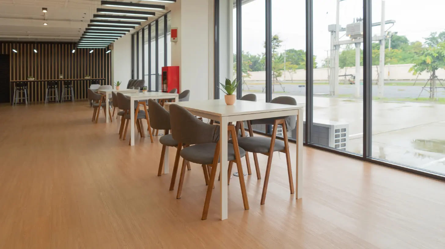 Soft Steps, Stylish Spaces